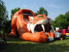 Sabretooth Tiger slide